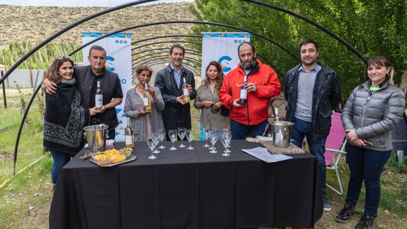 Luque destacó el potencial de Comodoro para convertirse en productor de vinos