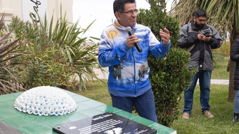 Una hortensia con 649 pétalos en homenaje a cada uno de los caídos