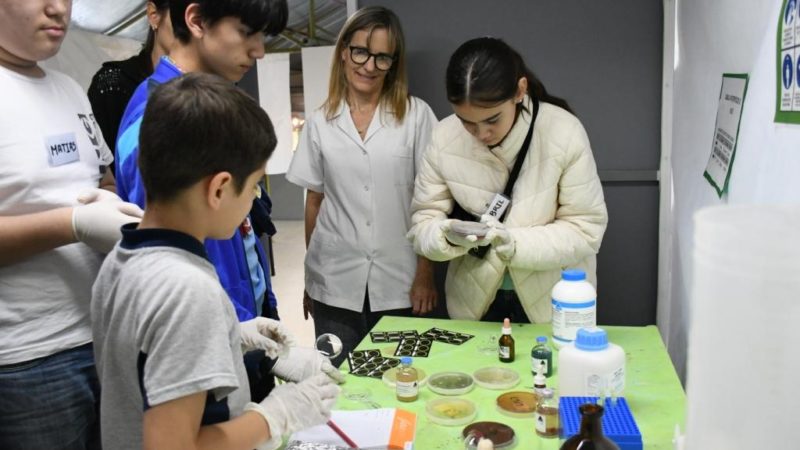 Más de 300 niños y adolescentes pasaron aprendieron en el programa Arte, Ciencia y Conocimiento