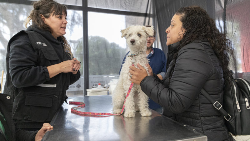 Se vacunaron 150 mascotas en la Jornada Ambiental por el Día del Animal