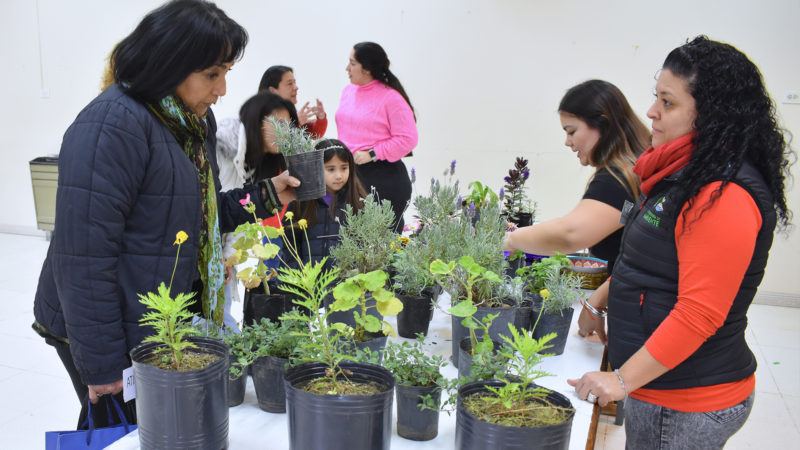 Esté sábado habrá una nueva jornada de Ecocanje de aceite vegetal usado