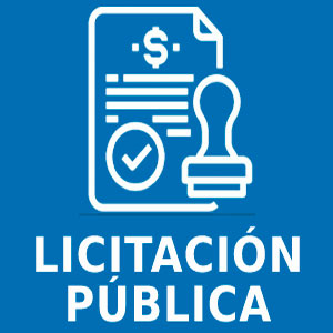 Licitación Pública N° 01/2024-S.E.F y C. G.