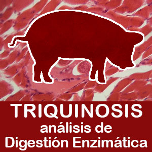 Análisis de Triquinosis