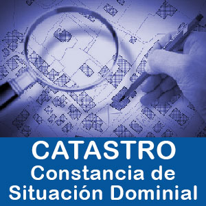 Constancia de Situación Dominial